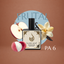 PA-6 PERFUME ÁRABE